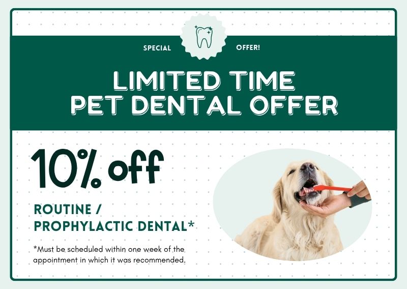 Carousel Slide 1: Call to schedule your appointment today!